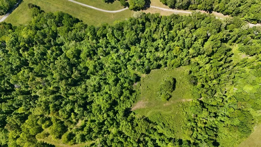 806 Brandon Hollow Lynchburg, TN 37352