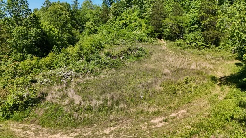 806 Brandon Hollow Lynchburg, TN 37352