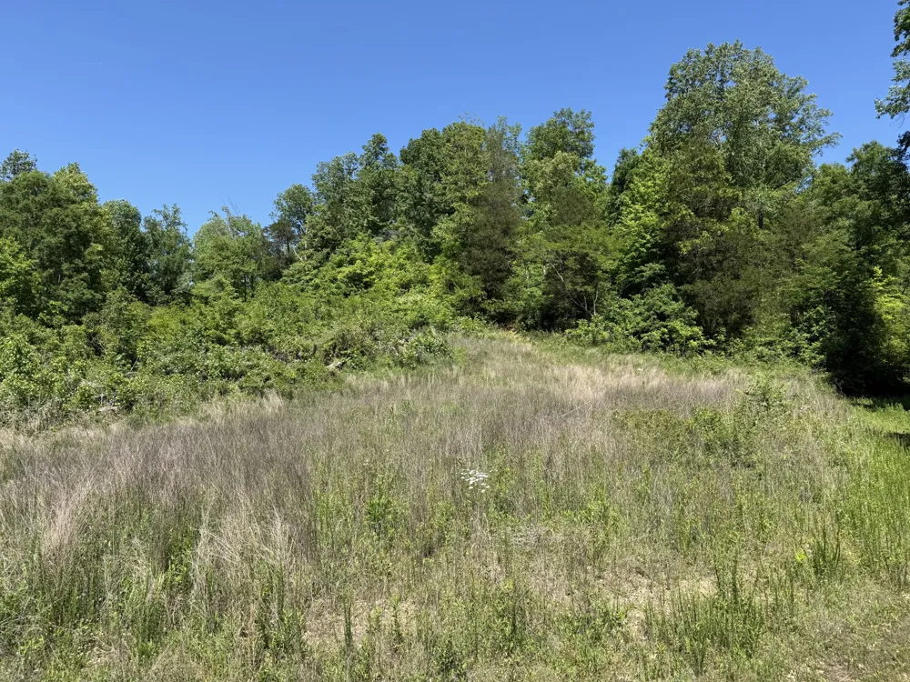 806 Brandon Hollow Lynchburg, TN 37352