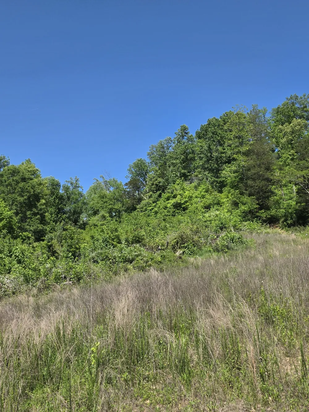 806 Brandon Hollow Lynchburg, TN 37352