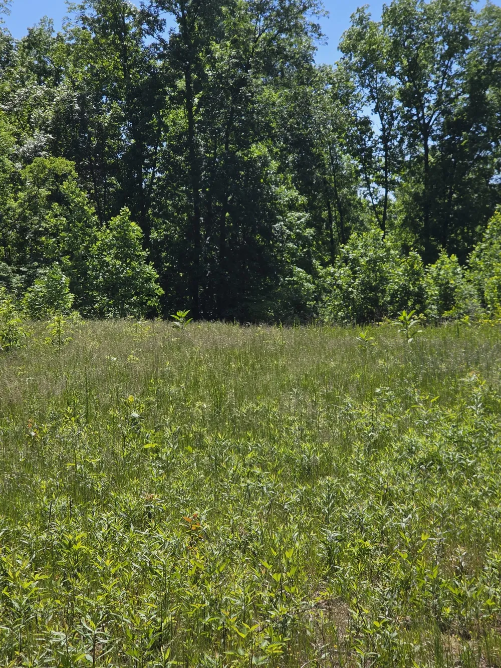 806 Brandon Hollow Lynchburg, TN 37352