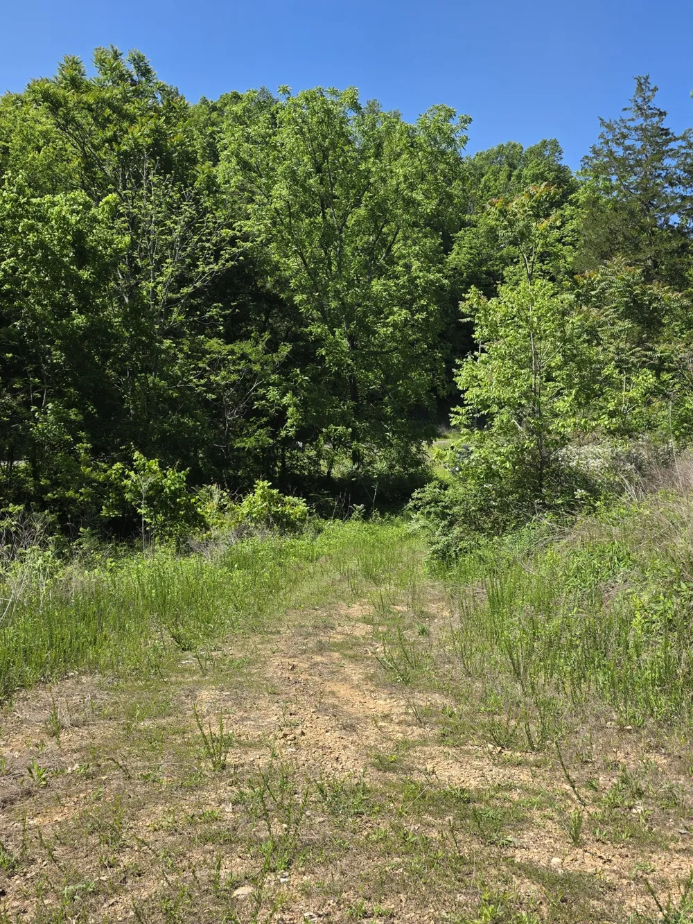 806 Brandon Hollow Lynchburg, TN 37352