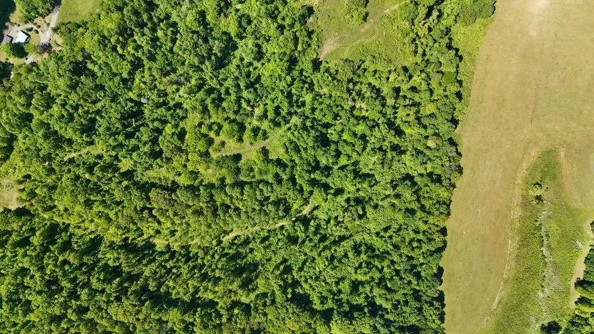 806 Brandon Hollow Lynchburg, TN 37352