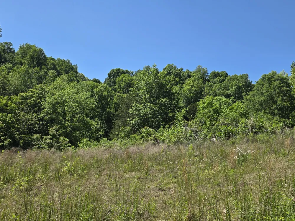 806 Brandon Hollow Lynchburg, TN 37352
