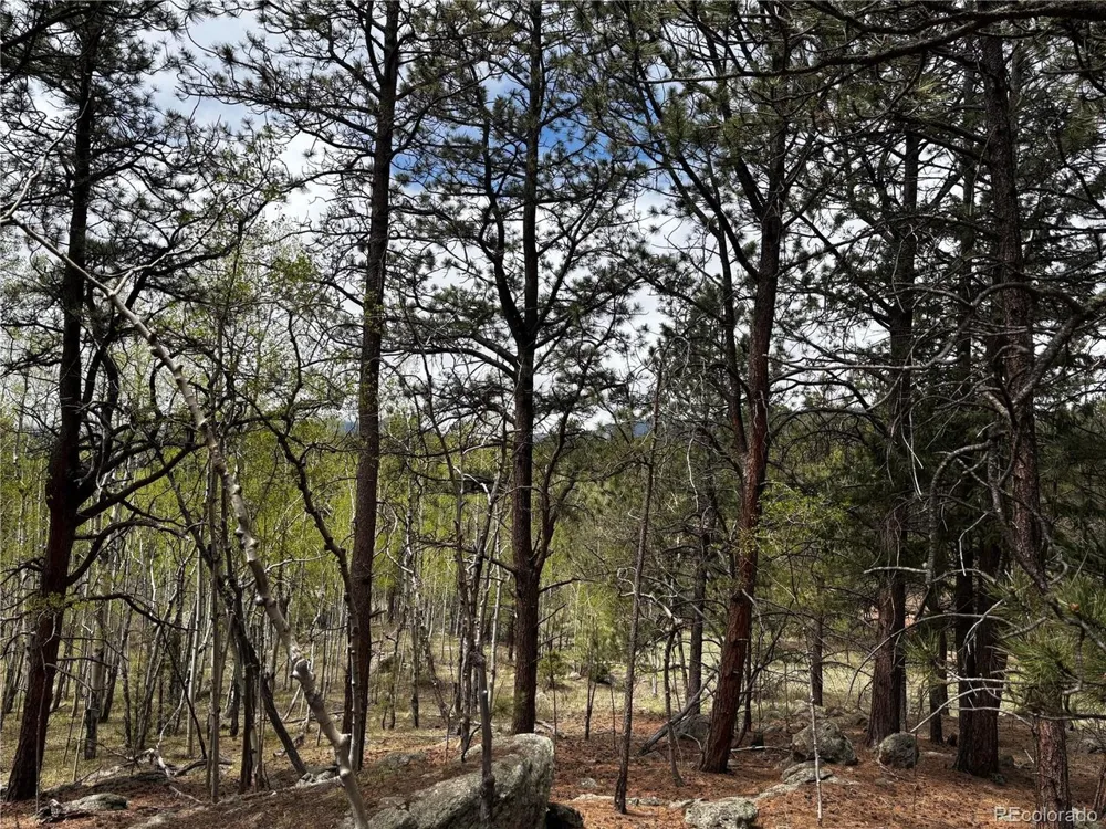 210 Crescent Drive Florissant, CO 80816