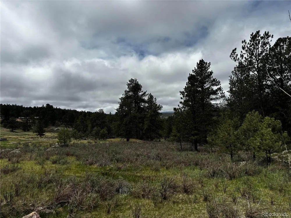 210 Crescent Drive Florissant, CO 80816