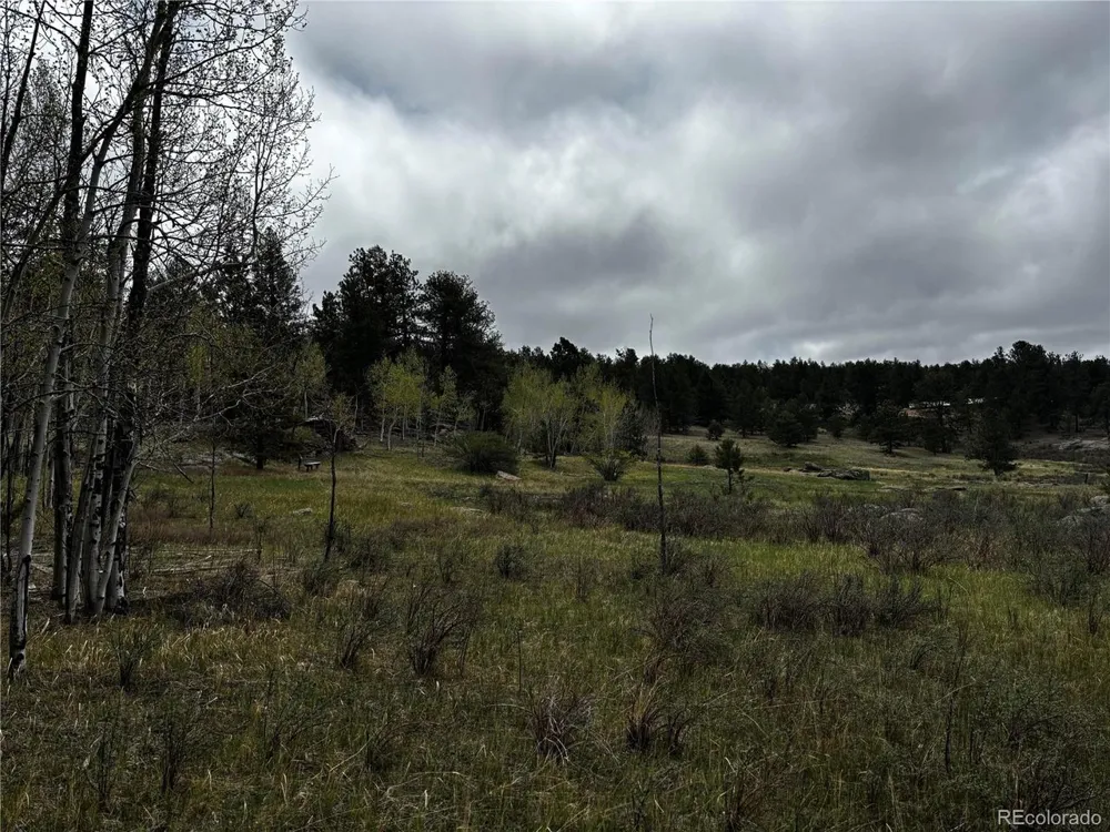 210 Crescent Drive Florissant, CO 80816