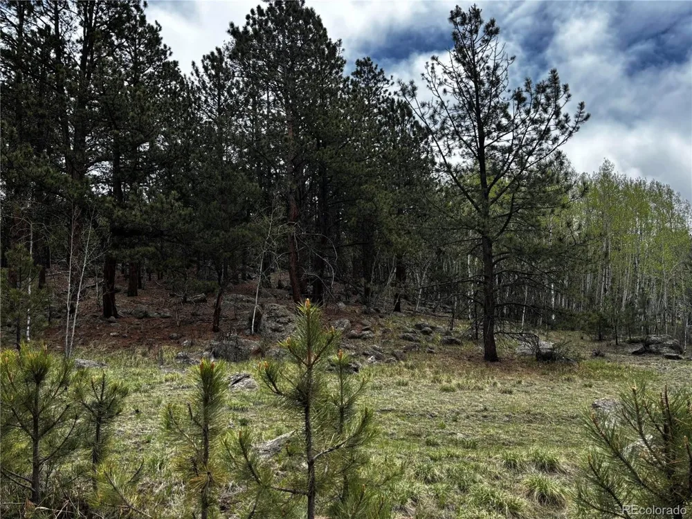 210 Crescent Drive Florissant, CO 80816
