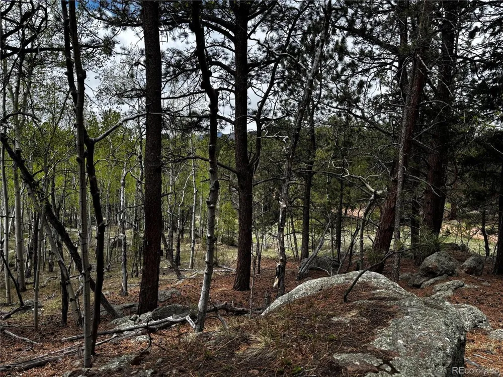 210 Crescent Drive Florissant, CO 80816