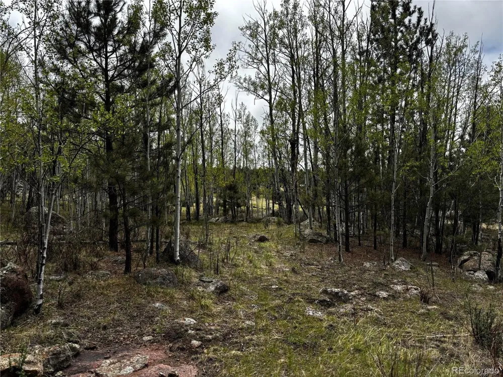 210 Crescent Drive Florissant, CO 80816