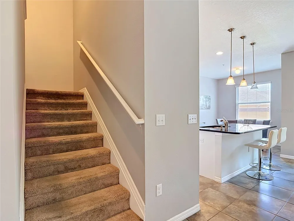 8615 ANDALUCIA FIELD DRIVE Tampa, FL 33637