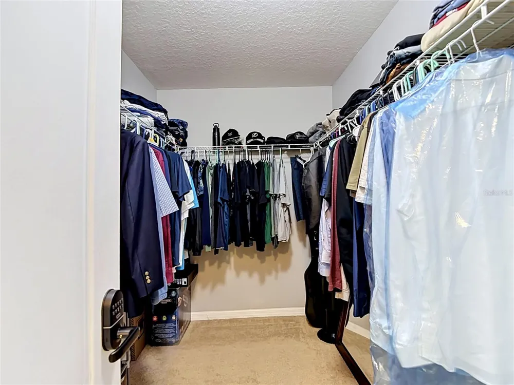 8615 ANDALUCIA FIELD DRIVE Tampa, FL 33637