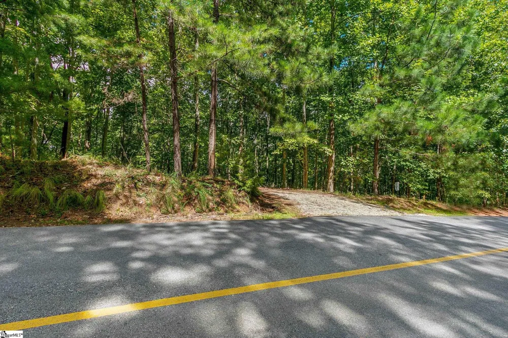521 S Point Boulevard Sunset, SC 29685
