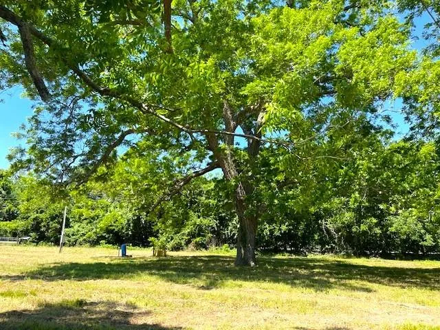 2125 Peach Ridge Road Brookshire, TX 77423