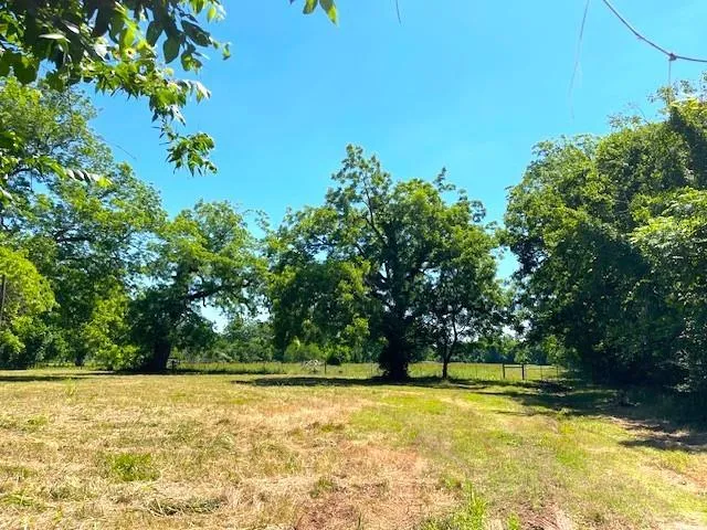 2125 Peach Ridge Road Brookshire, TX 77423