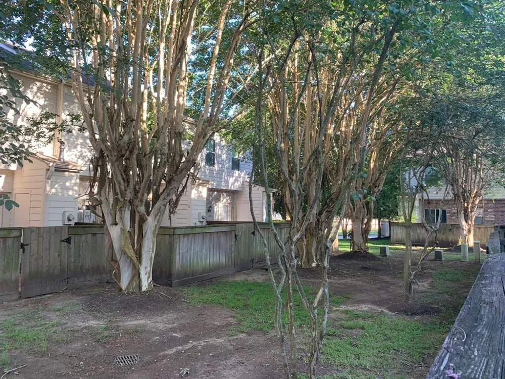 2910 Grants Lake Boulevard #1304 Sugar Land, TX 77479