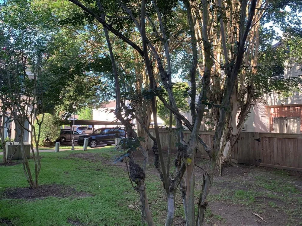 2910 Grants Lake Boulevard #1304 Sugar Land, TX 77479