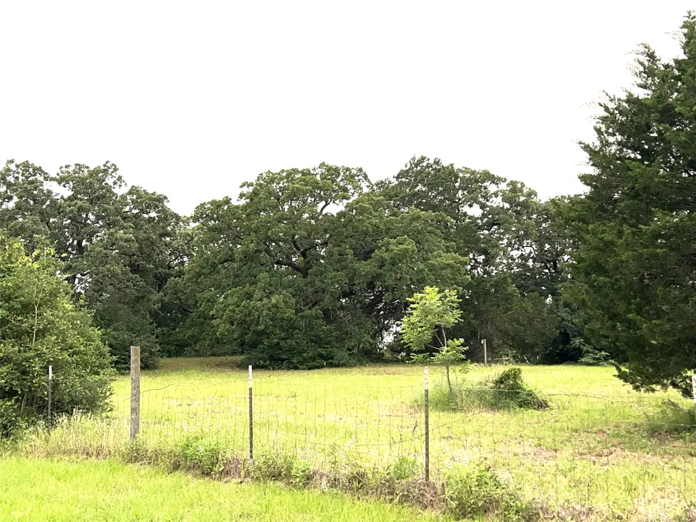 160 Rosanky Cattle Company Road Smithville, TX 78957