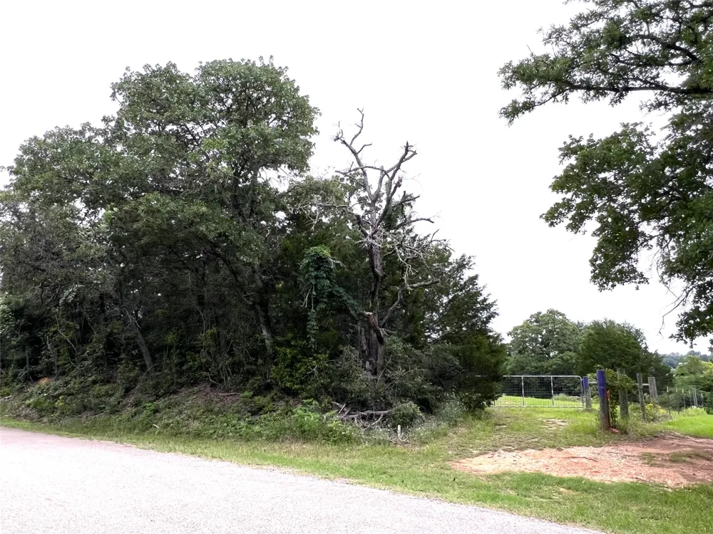 160 Rosanky Cattle Company Road Smithville, TX 78957