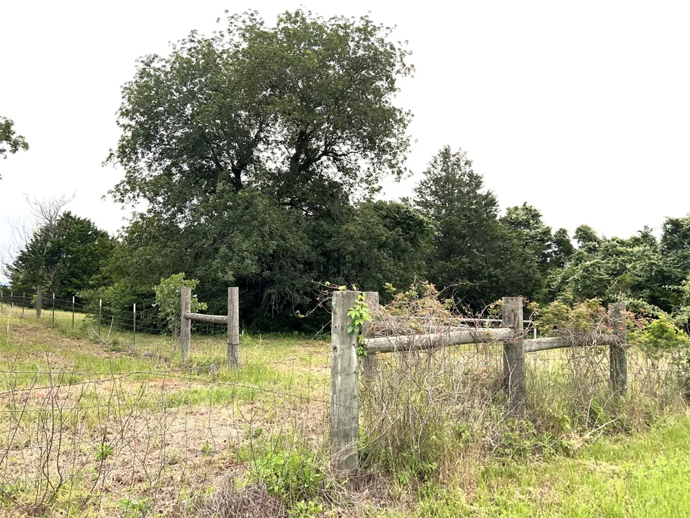 160 Rosanky Cattle Company Road Smithville, TX 78957