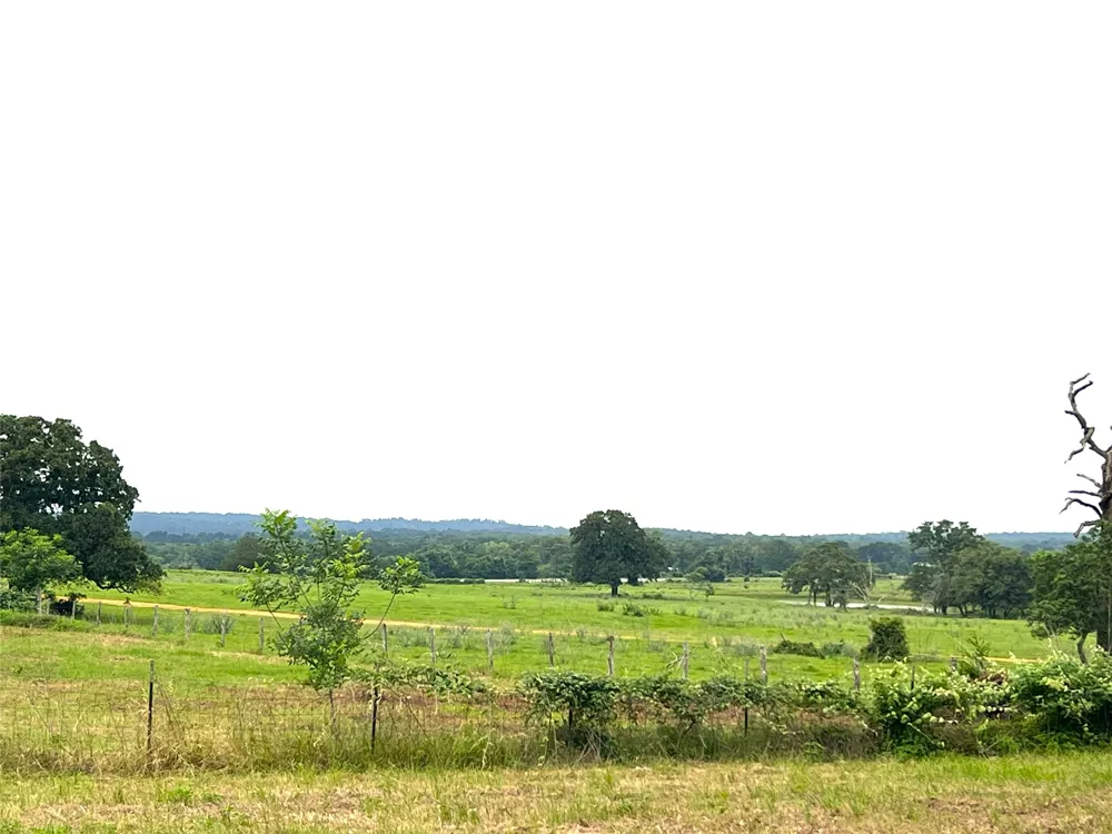 160 Rosanky Cattle Company Road Smithville, TX 78957