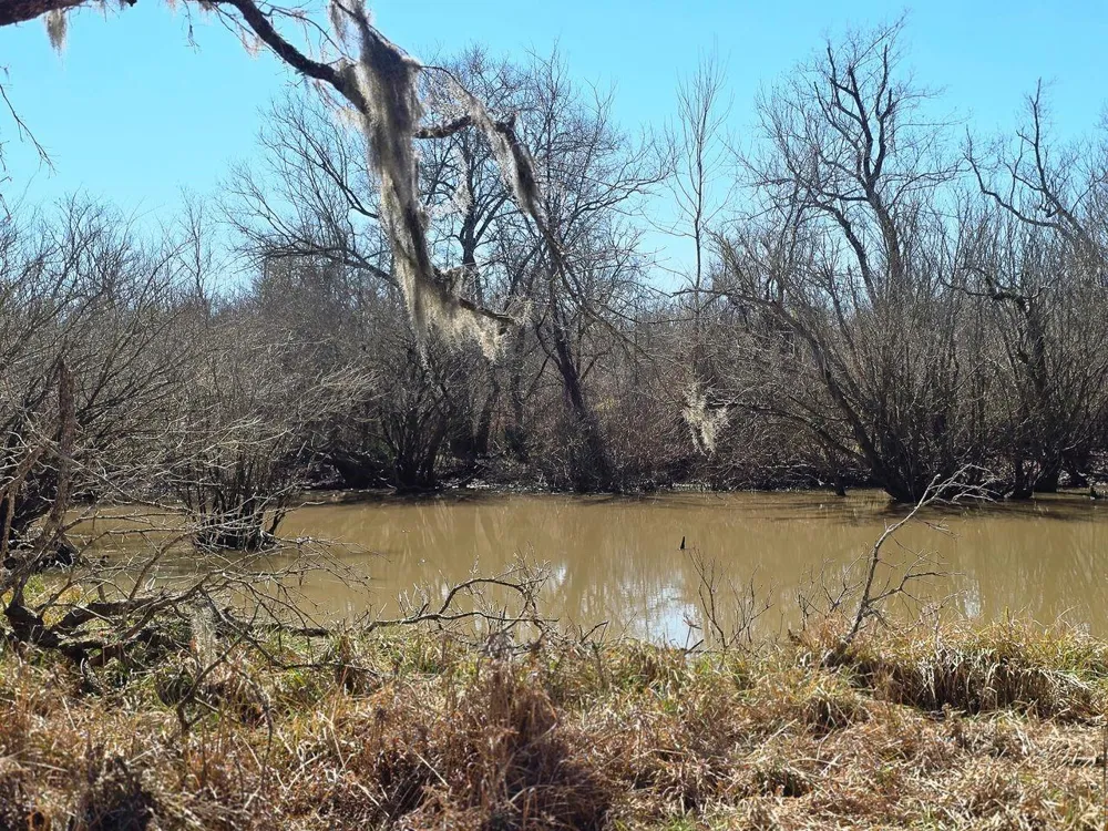 17668 Highway 21 W North Zulch, TX 77872