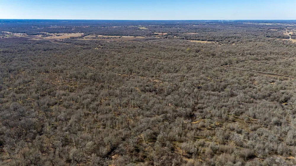 17668 Highway 21 W North Zulch, TX 77872