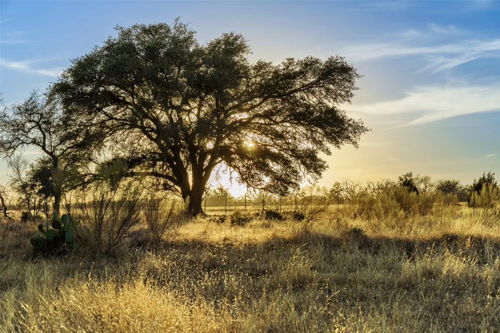 2227 Klein-Ahrens Road Fredericksburg, TX 78624