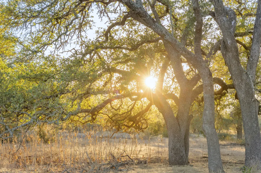 2227 Klein-Ahrens Road Fredericksburg, TX 78624