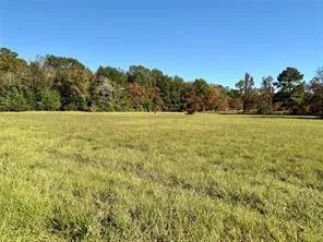 225 State Highway Loop 116 Livingston, TX 77351