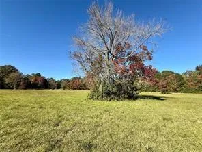 225 State Highway Loop 116 Livingston, TX 77351