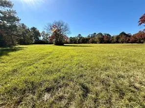 225 State Highway Loop 116 Livingston, TX 77351