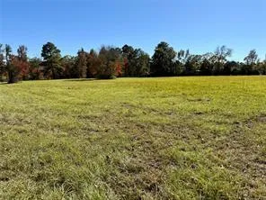 225 State Highway Loop 116 Livingston, TX 77351