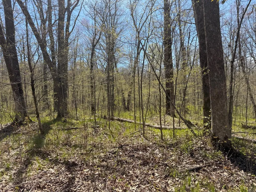 N10439 Tranus Lake Road Springbrook, WI 54875