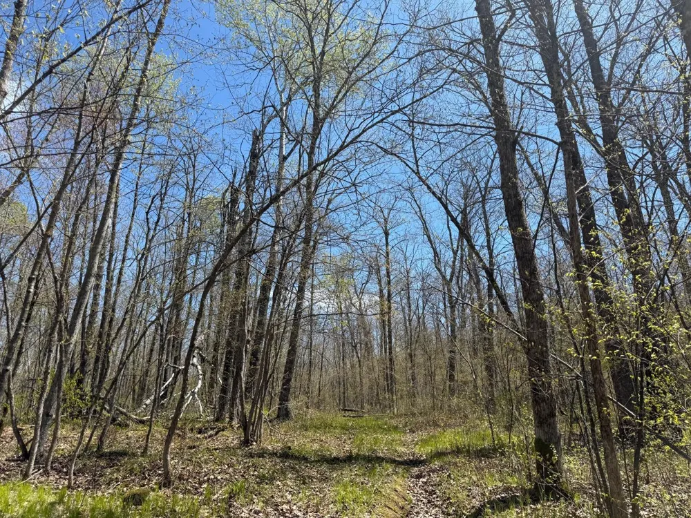 N10439 Tranus Lake Road Springbrook, WI 54875
