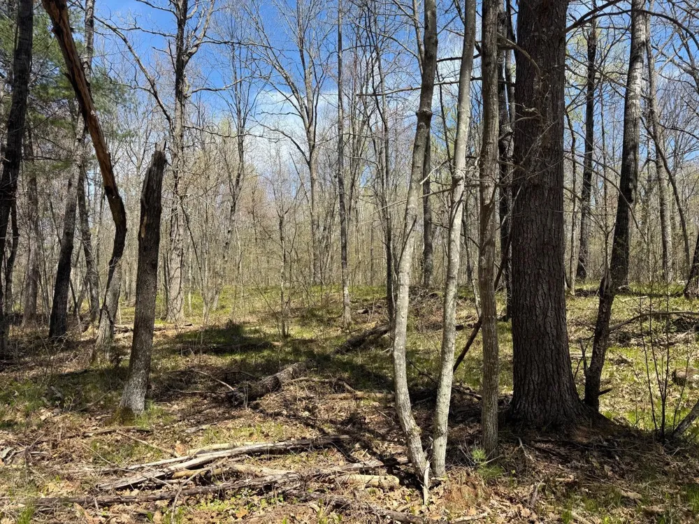 N10439 Tranus Lake Road Springbrook, WI 54875