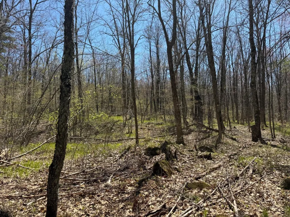 N10439 Tranus Lake Road Springbrook, WI 54875