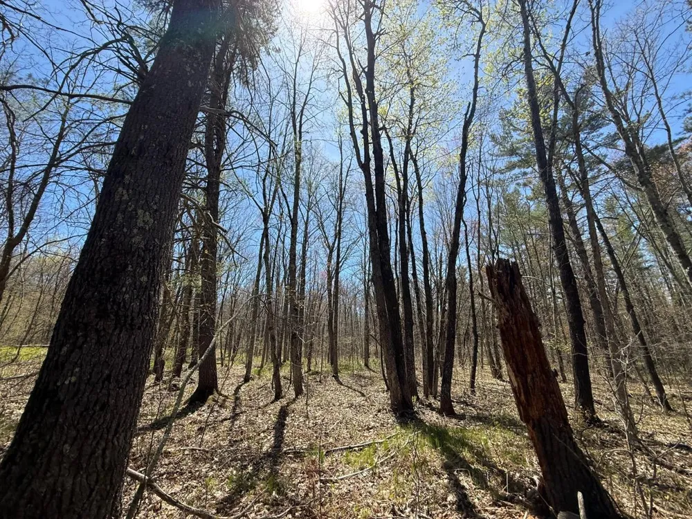 N10439 Tranus Lake Road Springbrook, WI 54875