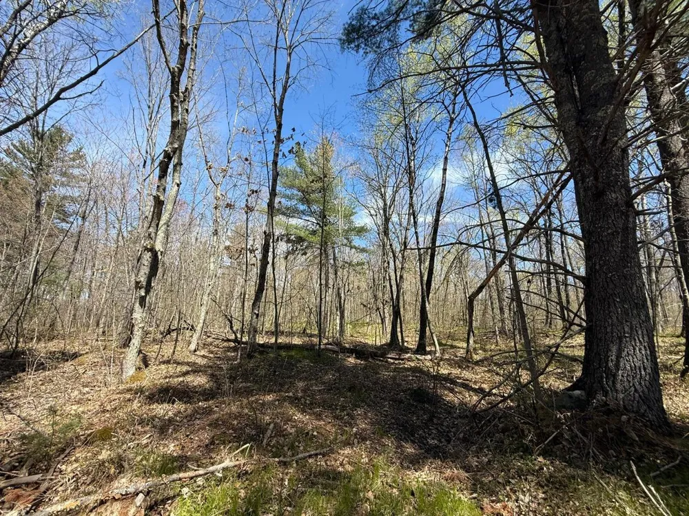N10439 Tranus Lake Road Springbrook, WI 54875
