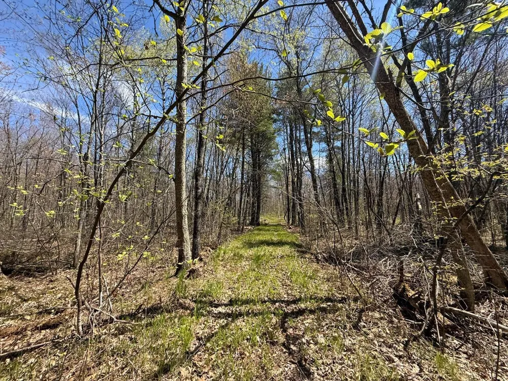 N10439 Tranus Lake Road Springbrook, WI 54875