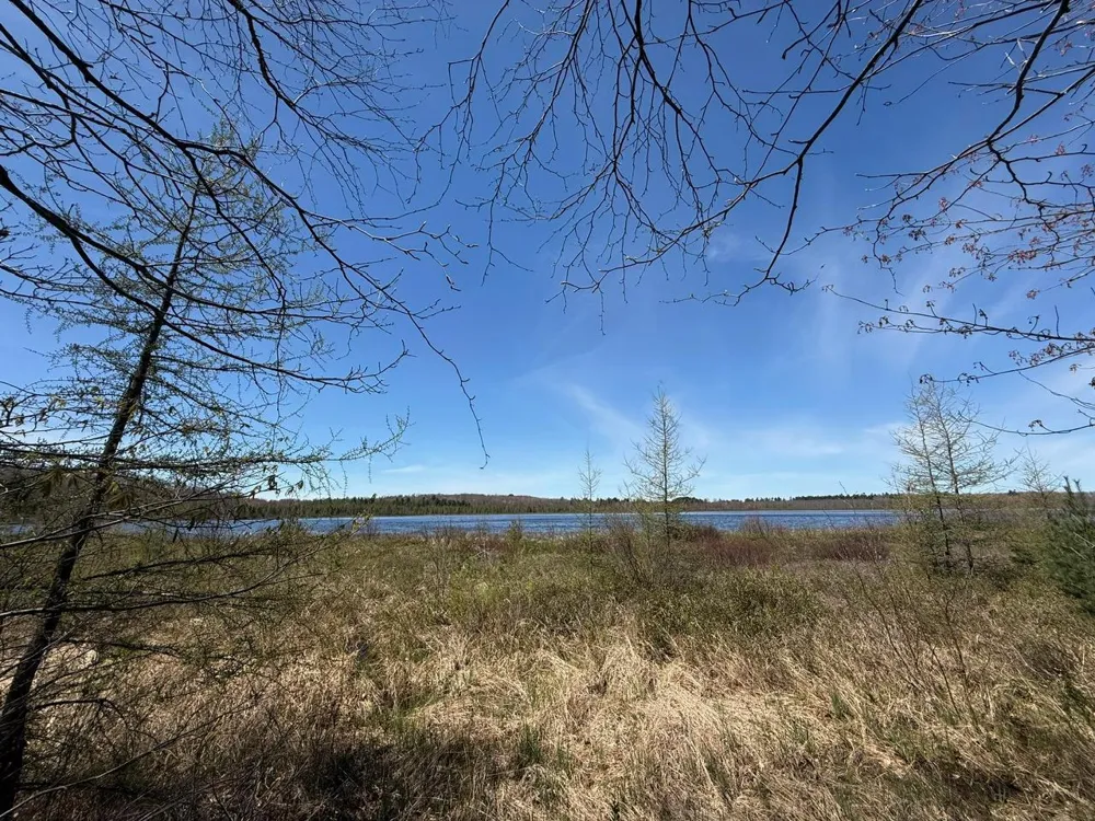 N10439 Tranus Lake Road Springbrook, WI 54875