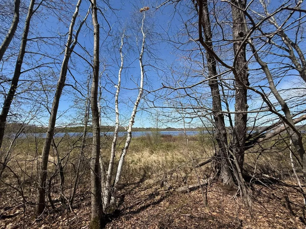 N10439 Tranus Lake Road Springbrook, WI 54875