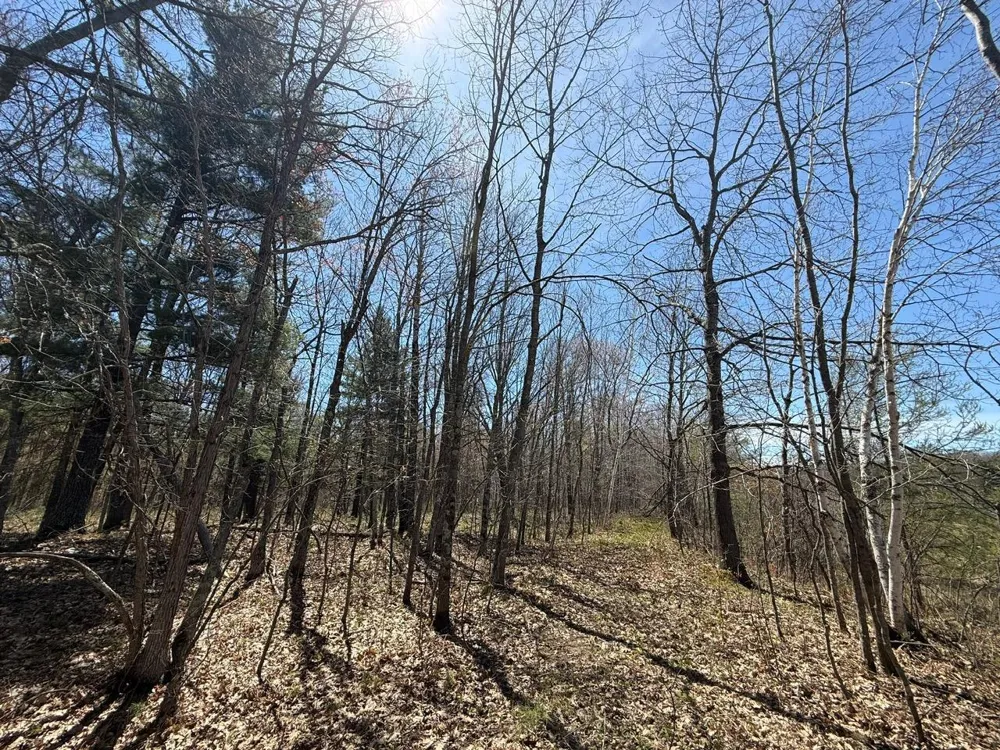 N10439 Tranus Lake Road Springbrook, WI 54875