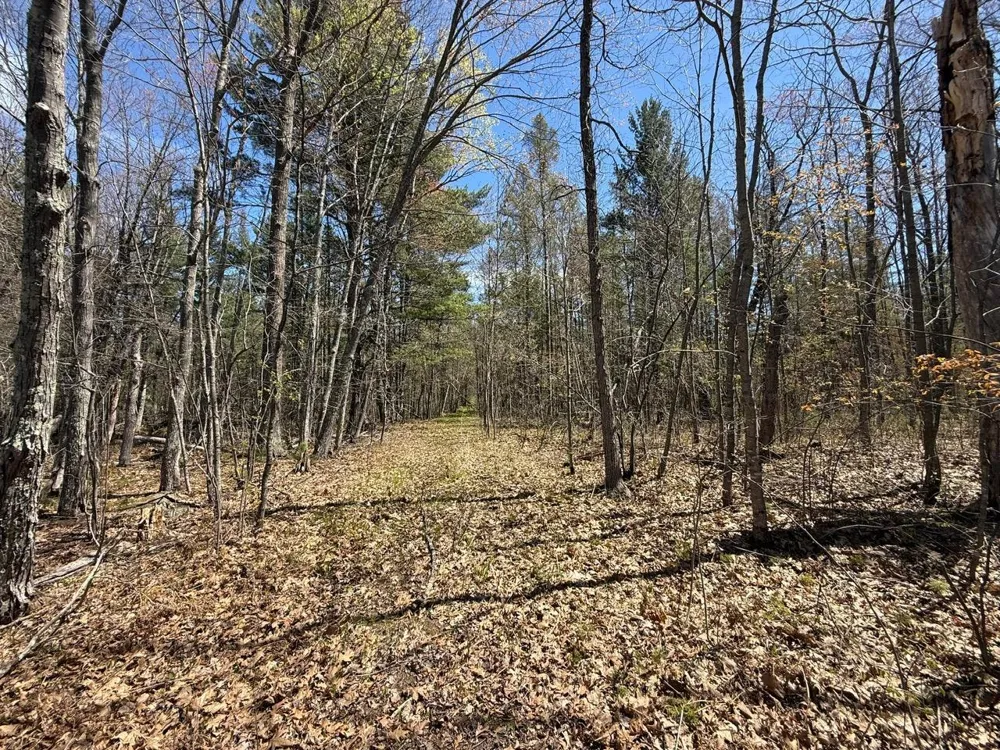 N10439 Tranus Lake Road Springbrook, WI 54875