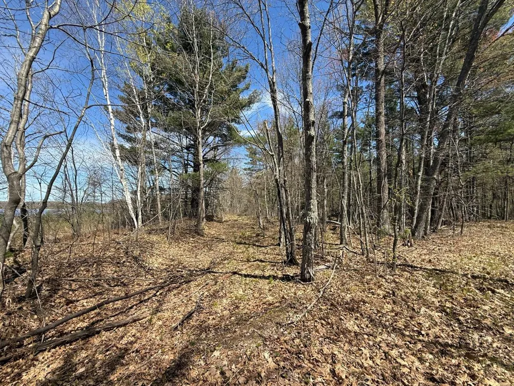 N10439 Tranus Lake Road Springbrook, WI 54875