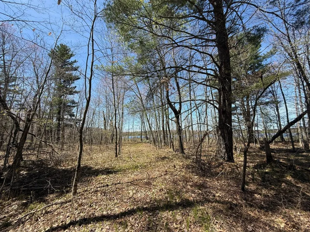 N10439 Tranus Lake Road Springbrook, WI 54875