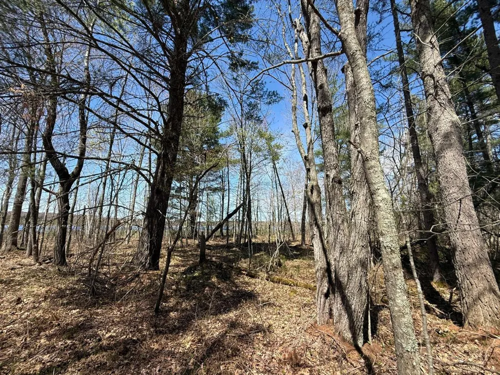 N10439 Tranus Lake Road Springbrook, WI 54875
