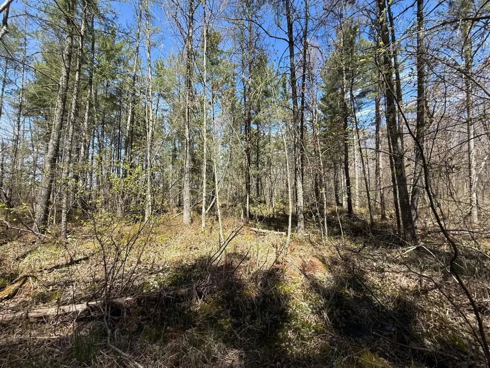 N10439 Tranus Lake Road Springbrook, WI 54875