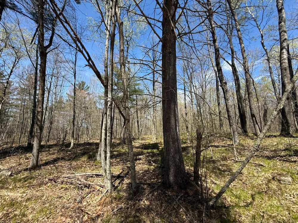 N10439 Tranus Lake Road Springbrook, WI 54875