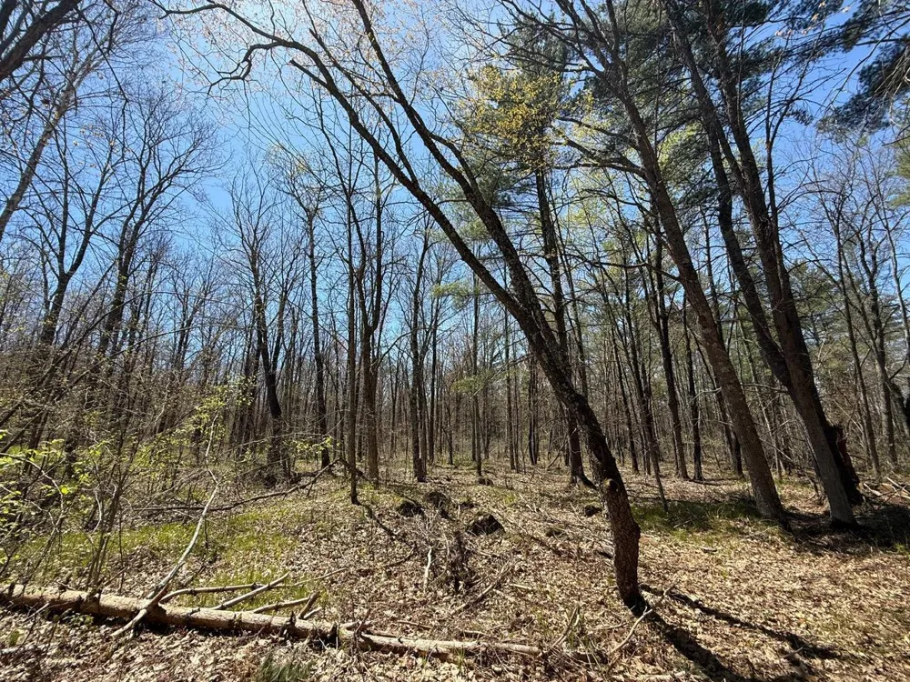 N10439 Tranus Lake Road Springbrook, WI 54875